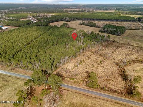 Tiny photo for 1 Piney Woods Road, Burgaw, NC 28425 (MLS # 100544450)