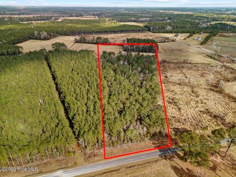 Tiny photo for 1 Piney Woods Road, Burgaw, NC 28425 (MLS # 100544450)