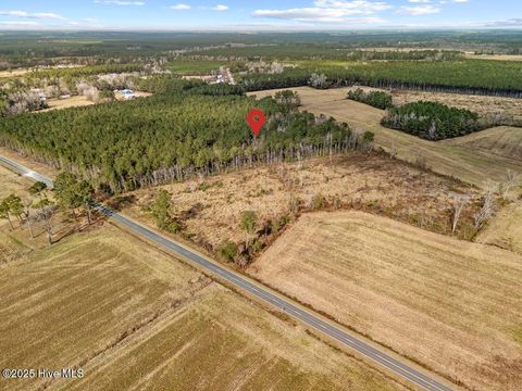 Tiny photo for 1 Piney Woods Road, Burgaw, NC 28425 (MLS # 100544450)