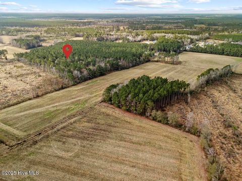 Tiny photo for 1 Piney Woods Road, Burgaw, NC 28425 (MLS # 100544450)