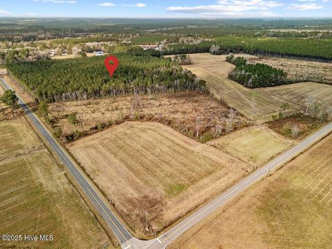 Tiny photo for 1 Piney Woods Road, Burgaw, NC 28425 (MLS # 100544450)