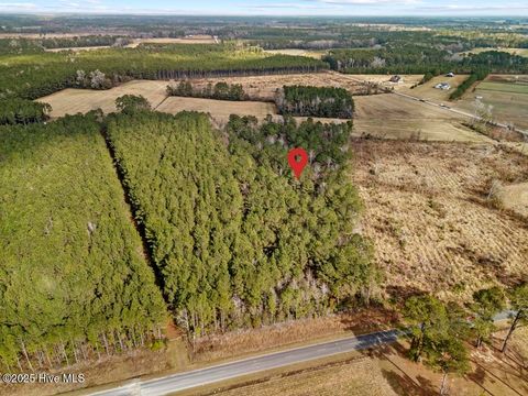 Tiny photo for 1 Piney Woods Road, Burgaw, NC 28425 (MLS # 100544450)