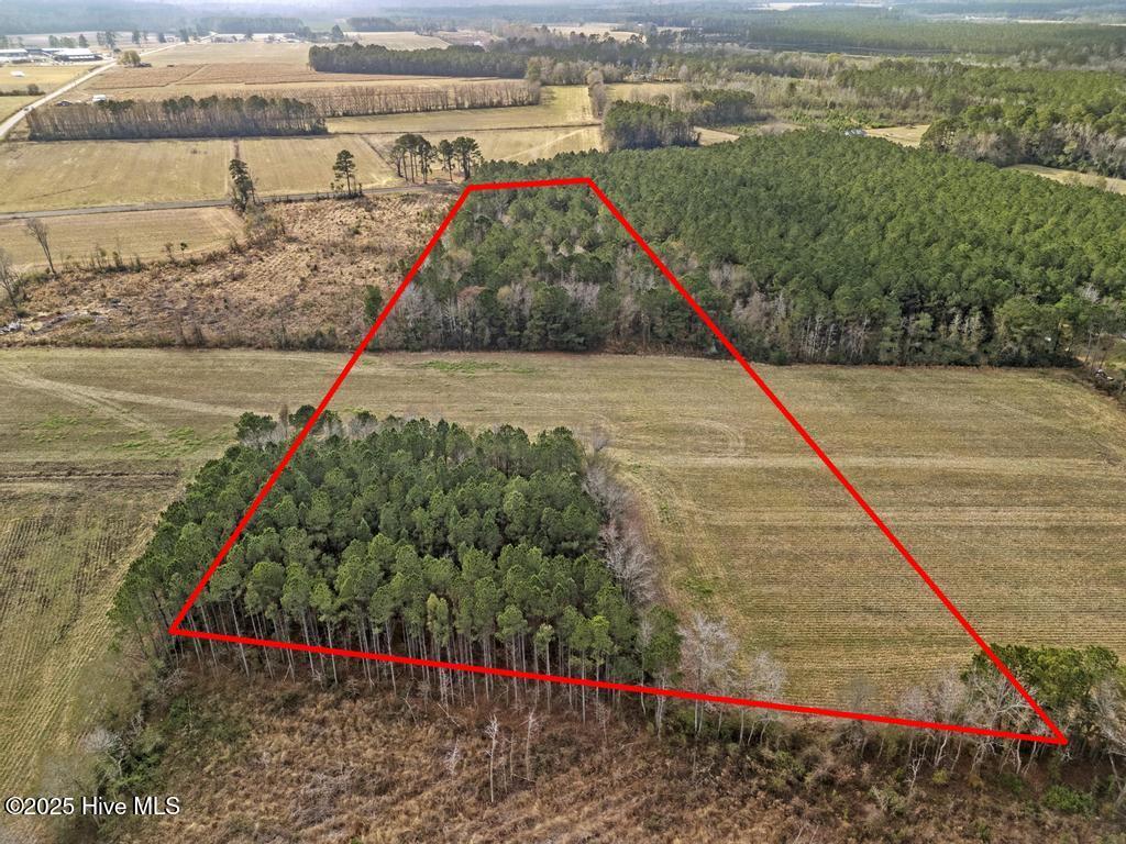 Tbd Piney Woods Road