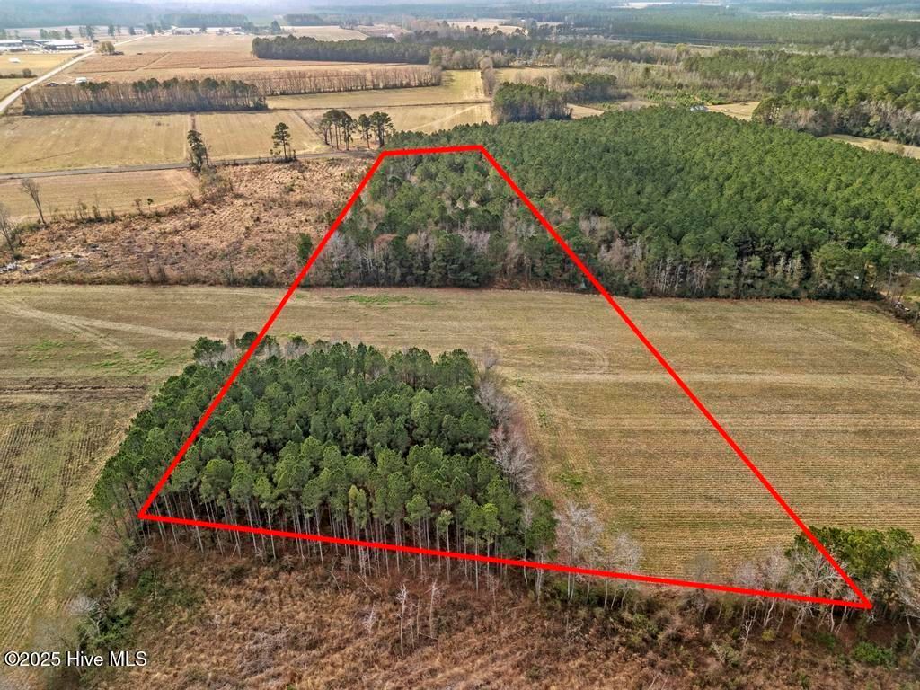 Photo of 1 Piney Woods Road, Burgaw, NC 28425 (MLS # 100544450)