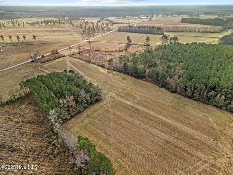 Tiny photo for 1 Piney Woods Road, Burgaw, NC 28425 (MLS # 100544450)