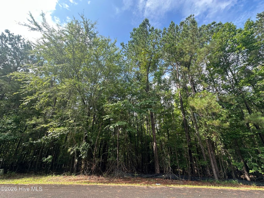 Photo of 1526 Blair Lane, McCormick, SC 29835 (MLS # 100589935)