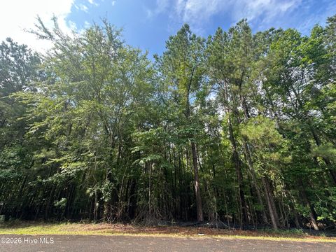 Vacant Land For Sale - B15 L26 Blair Lane<br/> McCormick, SC 29835