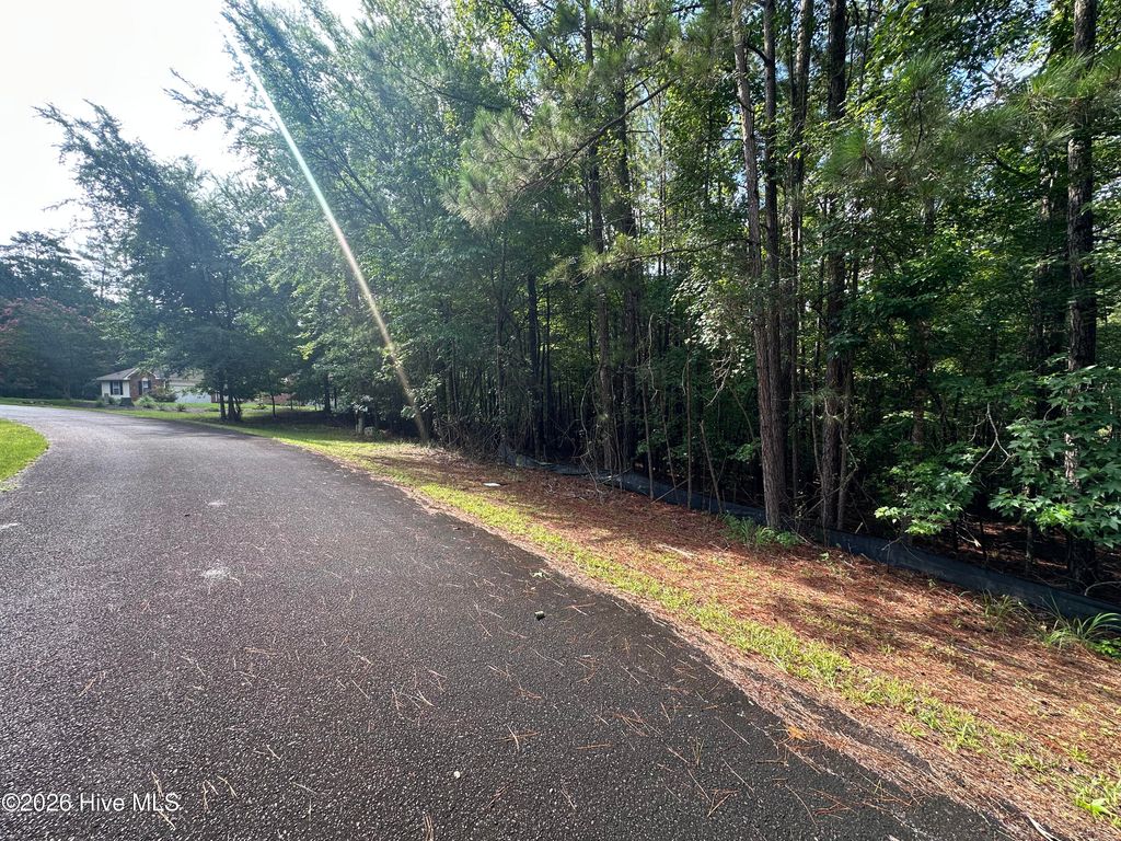 Photo of 1526 Blair Lane, McCormick, SC 29835 (MLS # 100589935)