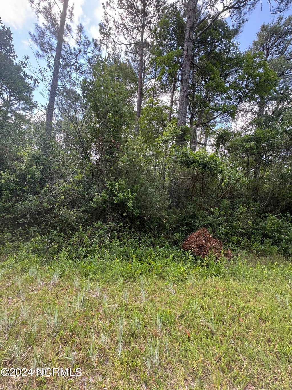 Photo of 1120 Beech Road, Boiling Spring Lakes, NC 28461 (MLS # 100460524)