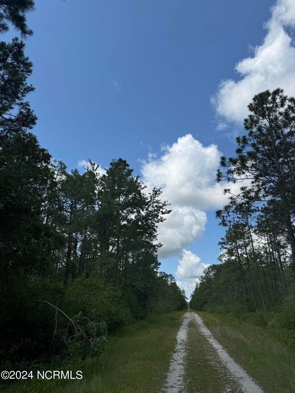 Photo of 1120 Beech Road, Boiling Spring Lakes, NC 28461 (MLS # 100460524)