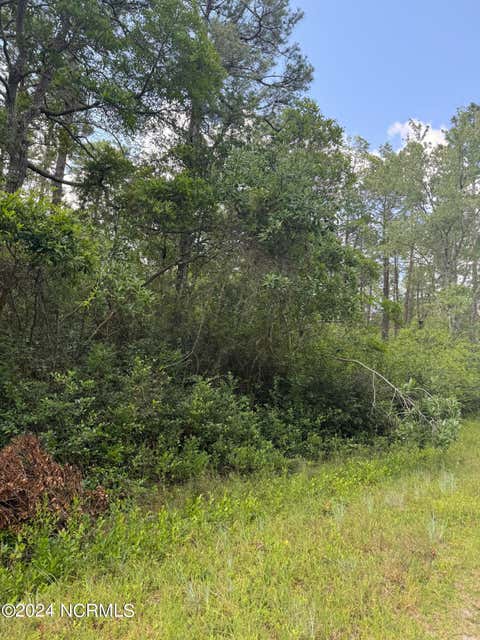 Vacant Land For Sale - 1120 Beech Road<br/> Boiling Spring Lakes, NC 28461