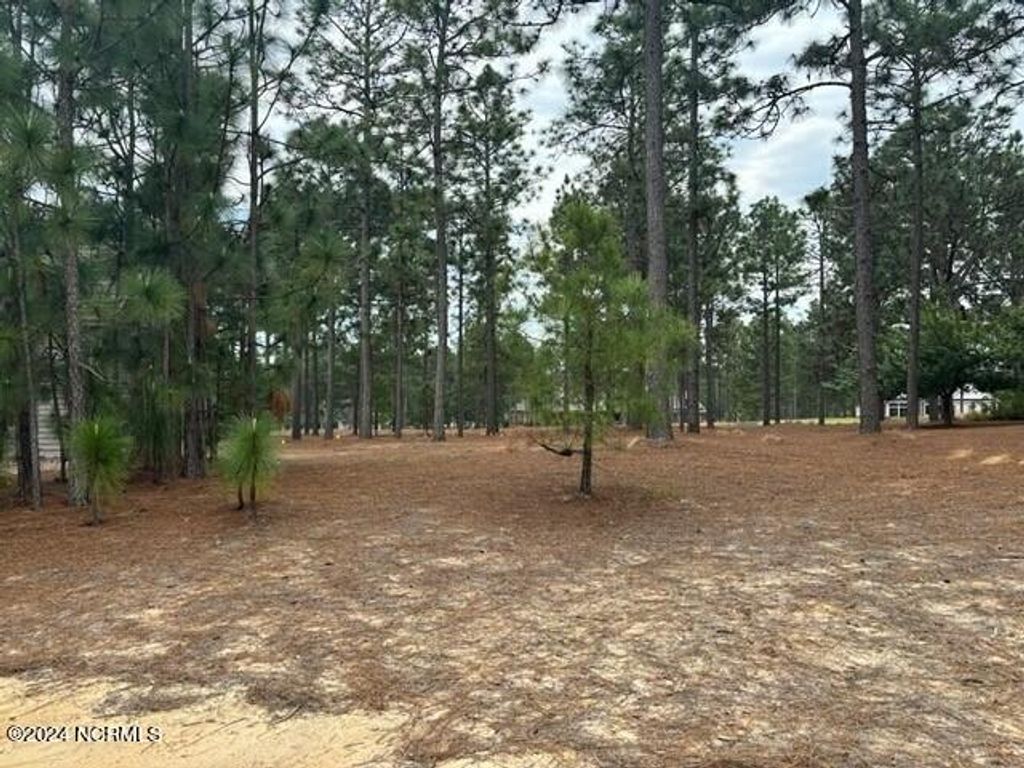 Photo of 11 Wicker Sham Court W, Pinehurst, NC 28374 (MLS # 100558938)