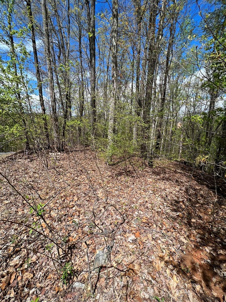 33 35 36 J Ash Branch - Photo 4