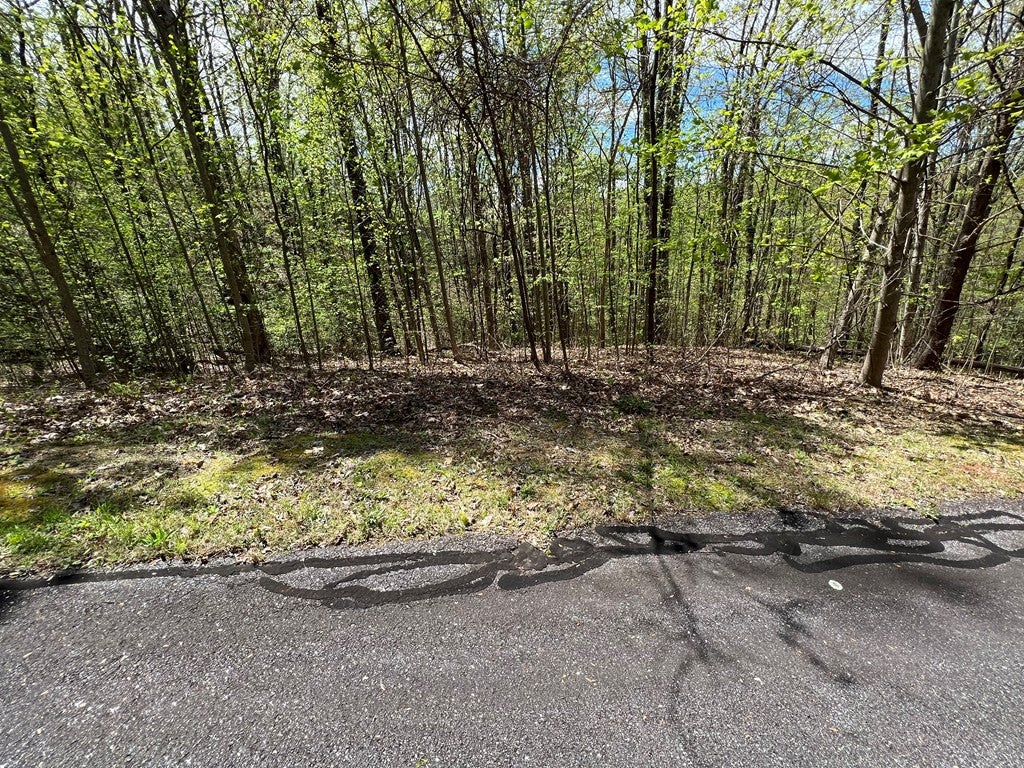 33 35 36 J Ash Branch - Photo 3