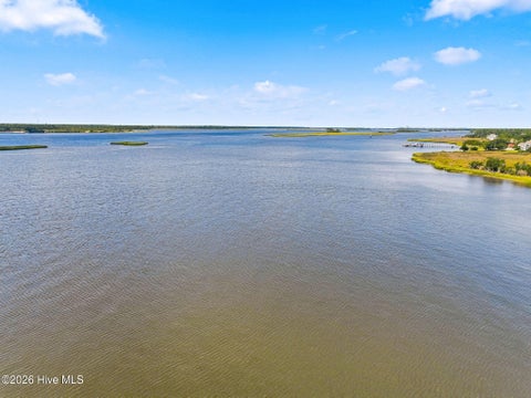 Tiny photo for 116 Mistiflower Court, Wilmington, NC 28412 (MLS # 100605235)
