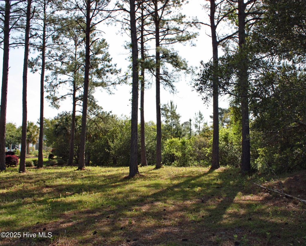 Photo of 6238 Castlebrook Way SW, Ocean Isle Beach, NC 28469 (MLS # 100500867)