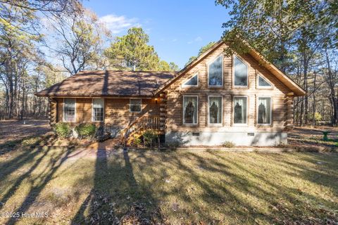Photo of 920 Jeff Road, Arapahoe, NC 28510 (MLS # 100545871)
