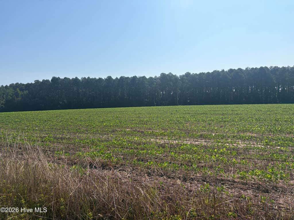Photo of Tbd Bella Bridge Road, Broadway, NC 27505 (MLS # 100592833)