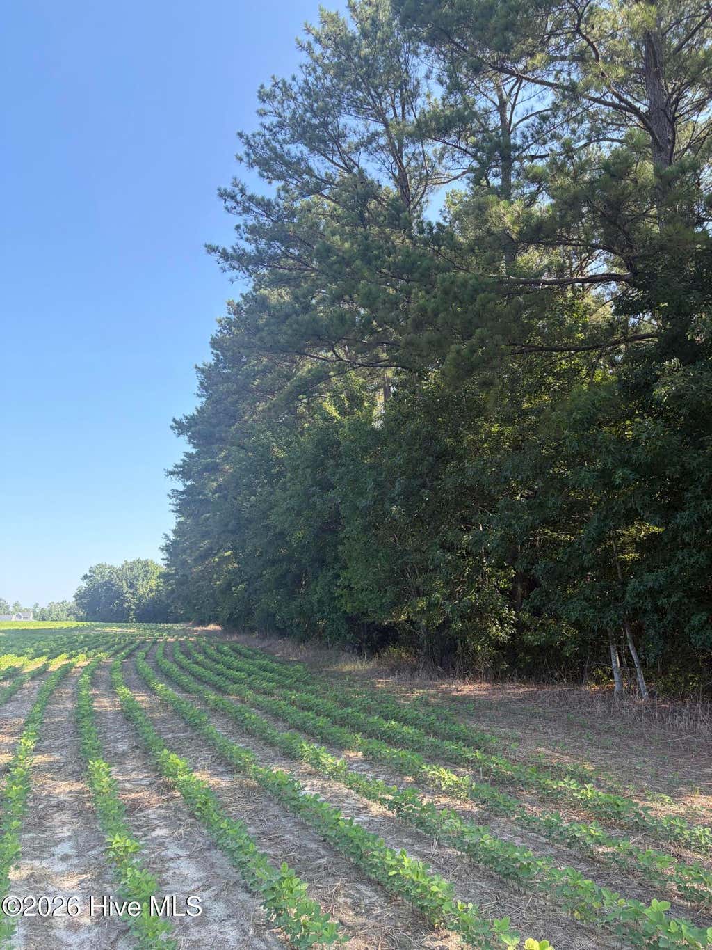 Photo of Tbd Bella Bridge Road, Broadway, NC 27505 (MLS # 100592833)