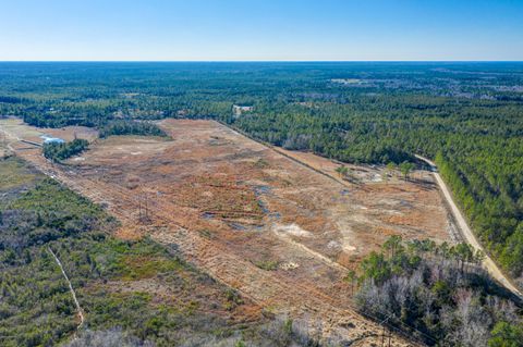 Tiny photo for 890 Wolf Pond Road, Hampstead, NC 28443 (MLS # 100565865)