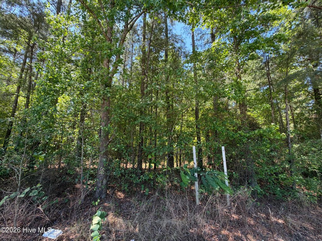Photo of 800 Slocomb Road, Fayetteville, NC 28311 (MLS # 100572302)