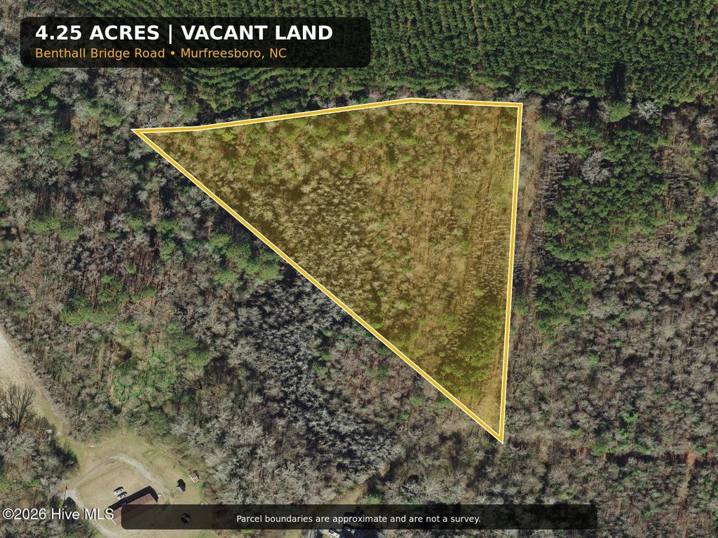 Photo of 0 Benthall Bridge Road, Murfreesboro, NC 27855 (MLS # 100605793)