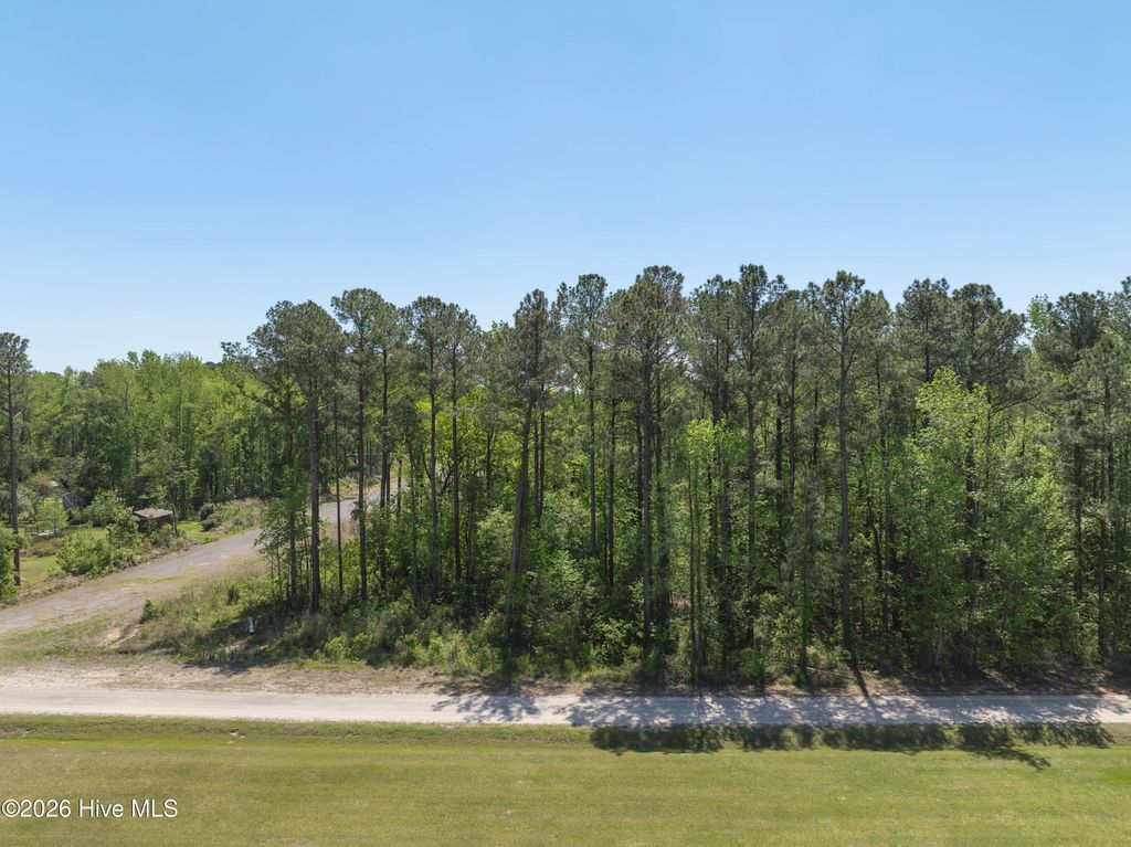 Photo of Tbd Skyline Drive, Jacksonville, NC 28454 (MLS # 100568126)