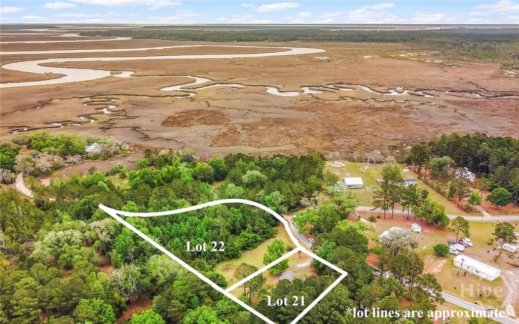 Photo of 1595 Forest Island Drive, Townsend, GA 31331 (MLS # SA362418)