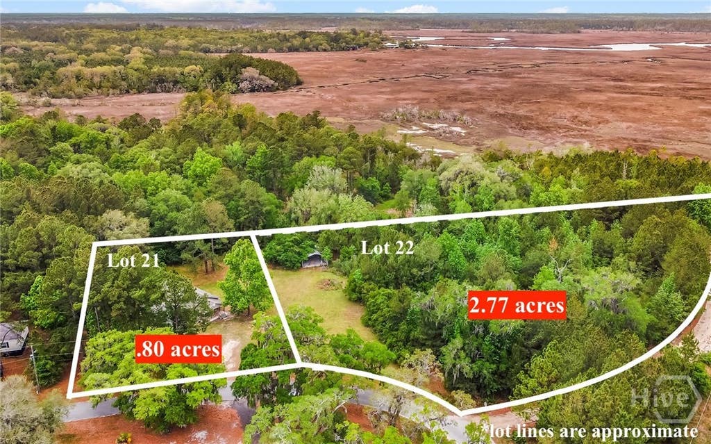 Photo of 1595 Forest Island Drive, Townsend, GA 31331 (MLS # SA362418)