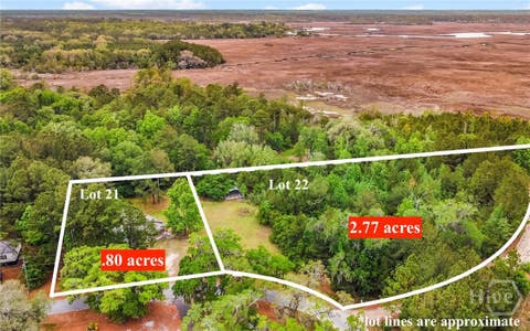 Homes For Sale - 1595 Forest Island Drive<br/> Mcintosh County, Townsend, GA 31331
