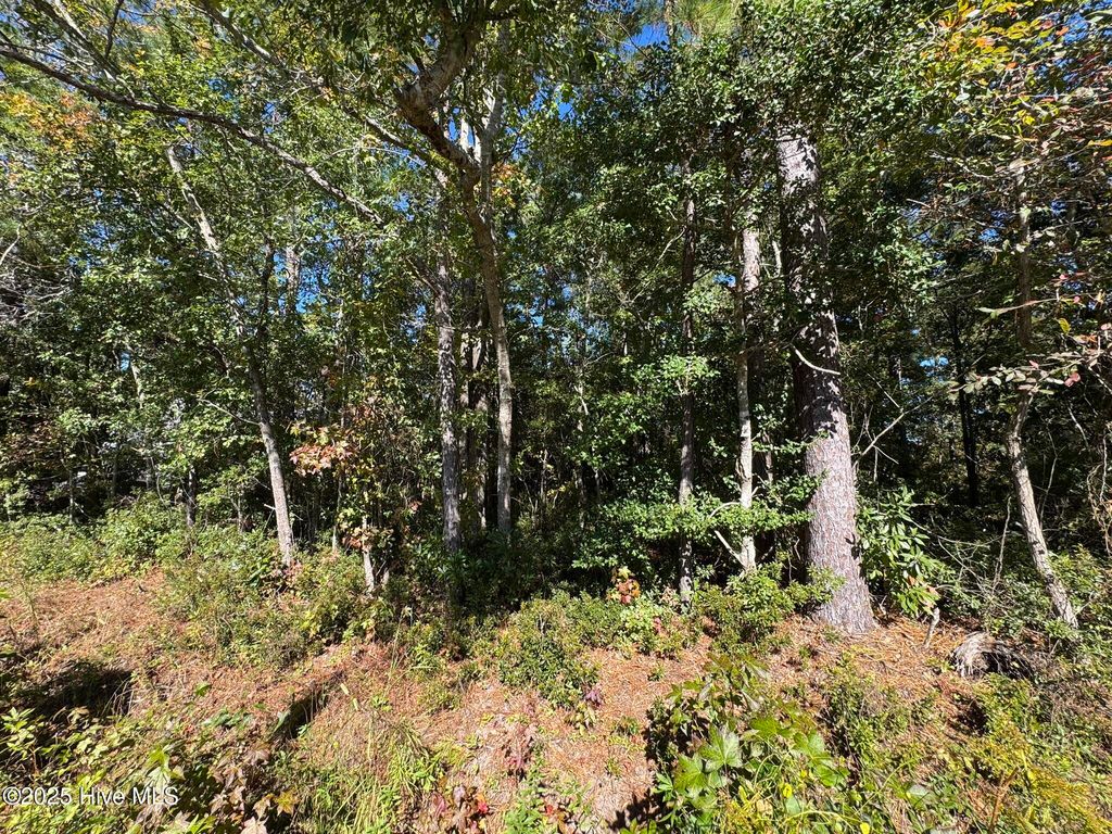 Photo of 316 Masters Lane, Hampstead, NC 28443 (MLS # 100539020)