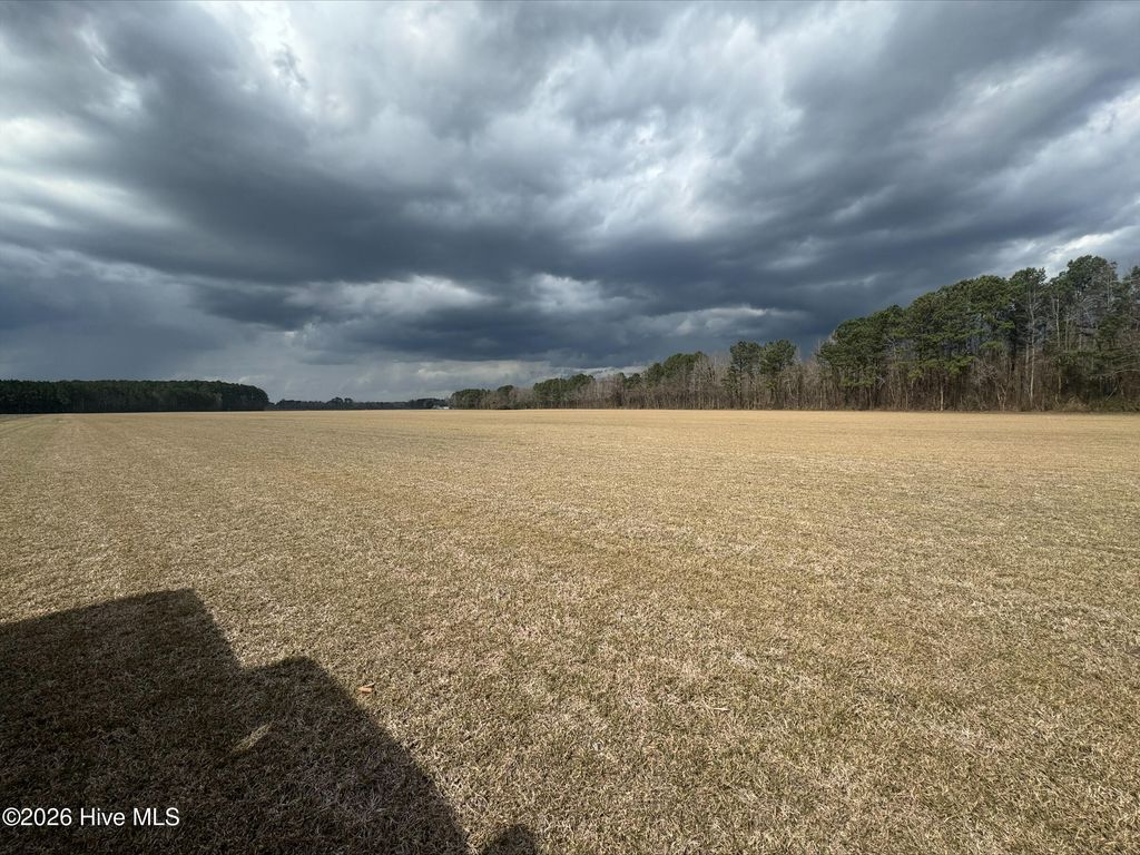 Photo of 7 Sim Dawson Road, New Bern, NC 28562 (MLS # 100559161)