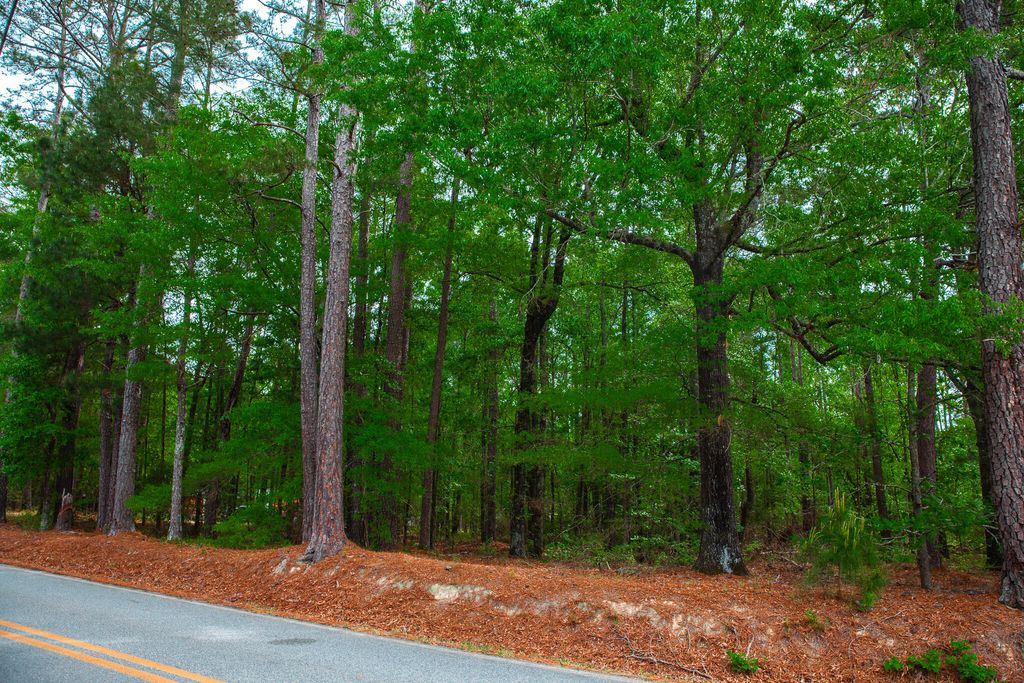 Photo of 1223 Appling Harlem Road, Harlem, GA 30814 (MLS # 554273)