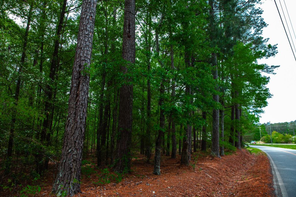 Photo of 1223 Appling Harlem Road, Harlem, GA 30814 (MLS # 554273)