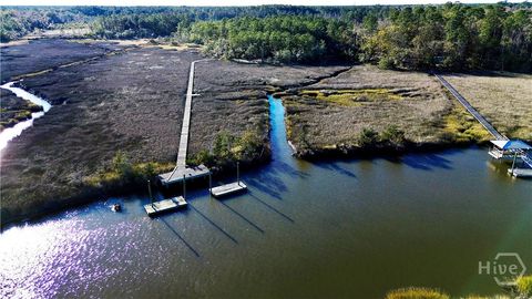 Vacant Land For Sale - TRACT 3 & 4 S Newport Drive<br/> Mcintosh County, Townsend, GA 31331