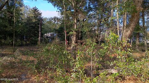 Tiny photo for 217 Clinton Street, Wilmington, NC 28401 (MLS # 100551404)