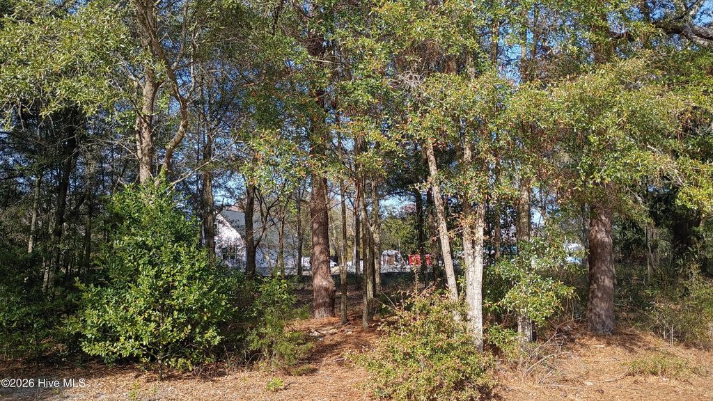 Photo of 217 Clinton Street, Wilmington, NC 28401 (MLS # 100551404)