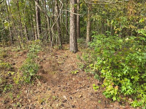 Vacant Land For Sale - LT 5 BK 23 Brassie Drive<br/> Mccormick County, McCormick, SC 29835