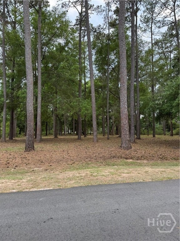 Photo of 0 Fair Hope Drive NE, Townsend, GA 31331 (MLS # SA362582)