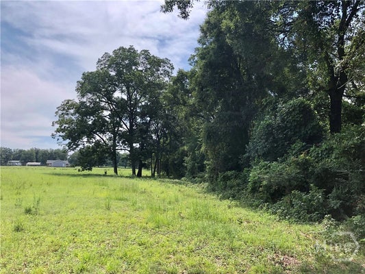 333 NEVILS GROVELAND RD, PEMBROKE, GA 31321 - Image c6d87de4b8e73b37cb0f0ac98c4bb46f/1741505904