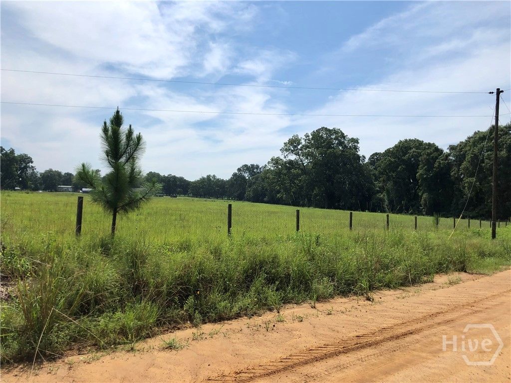 Photo of 204 Nevils Groveland Road, Statesboro, GA 30458 (MLS # SA352660)