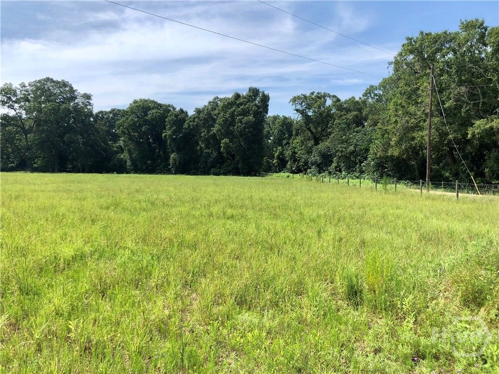 Photo of 204 Nevils Groveland Road, Statesboro, GA 30458 (MLS # SA352660)