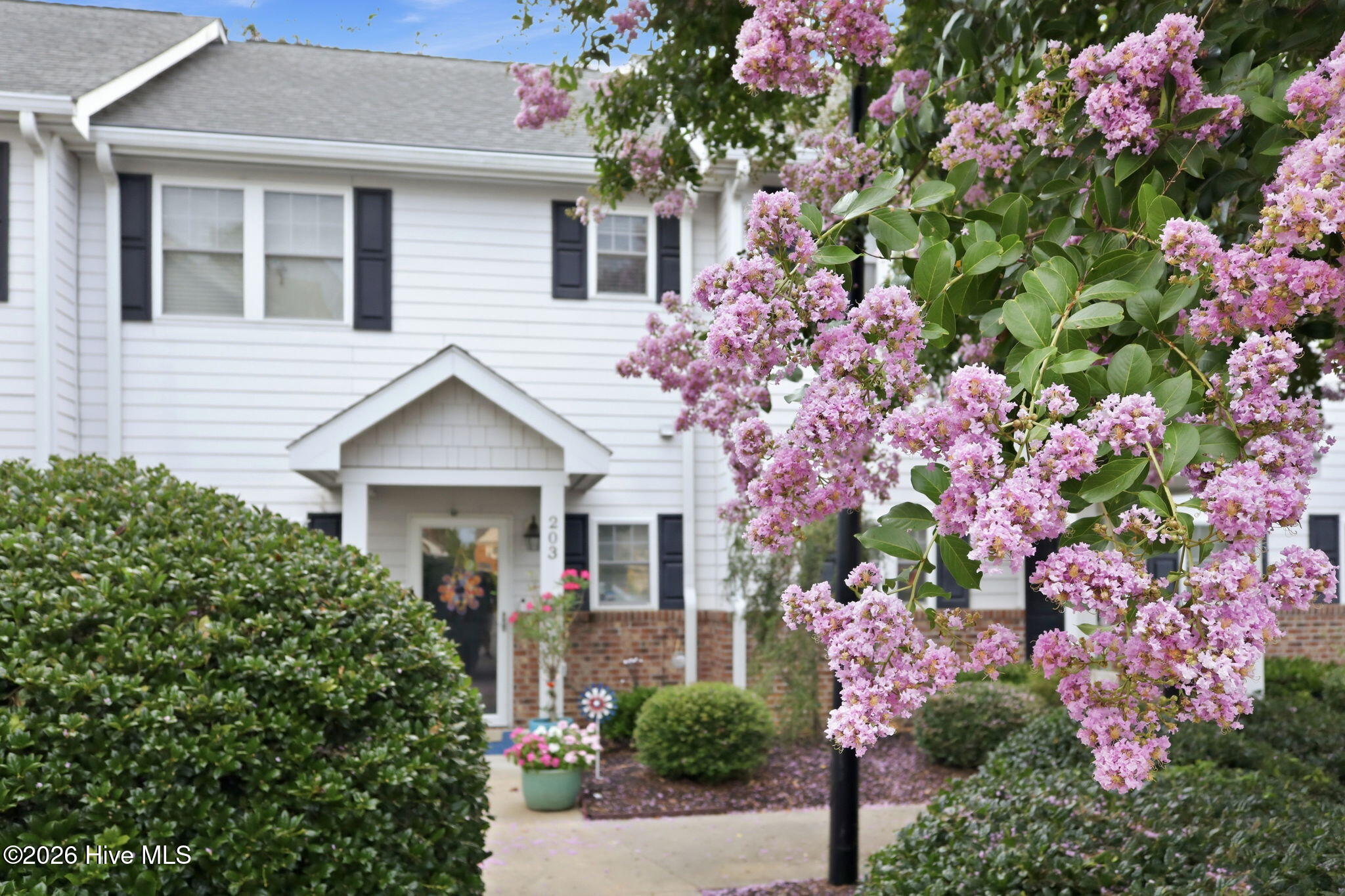 112 Rochelle Drive 203