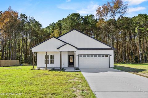 Photo of 1663 N Nc 111 Highway, Pink Hill, NC 28572 (MLS # 100545985)