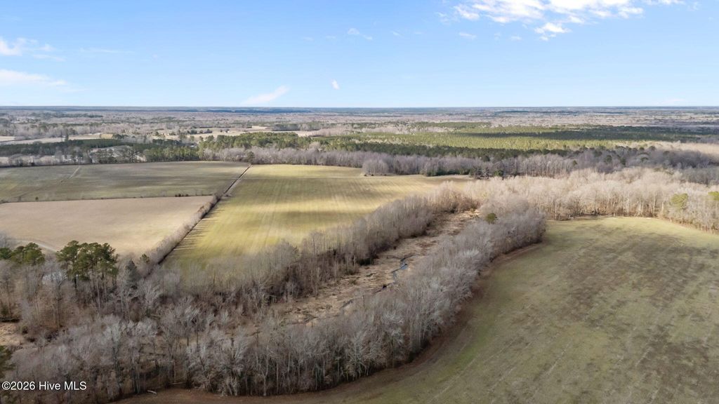 Photo of 1723 Spring Garden Road, New Bern, NC 28562 (MLS # 100556427)