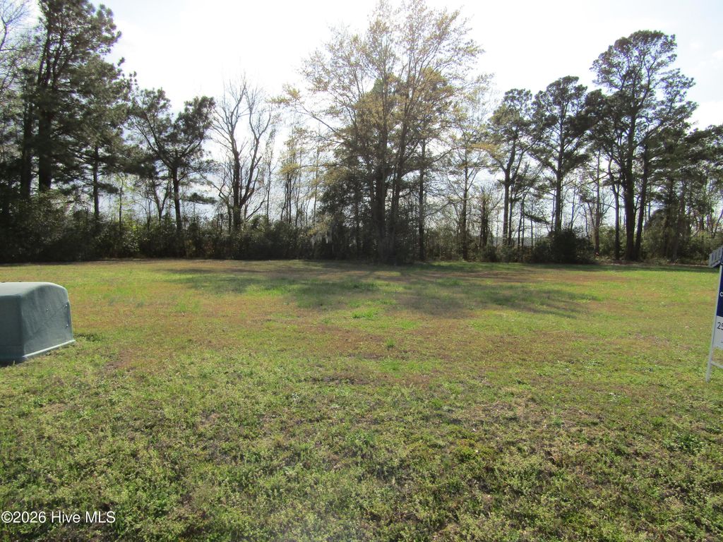 Photo of 4040 Whichards Beach Road, Chocowinity, NC 27817 (MLS # 100562564)