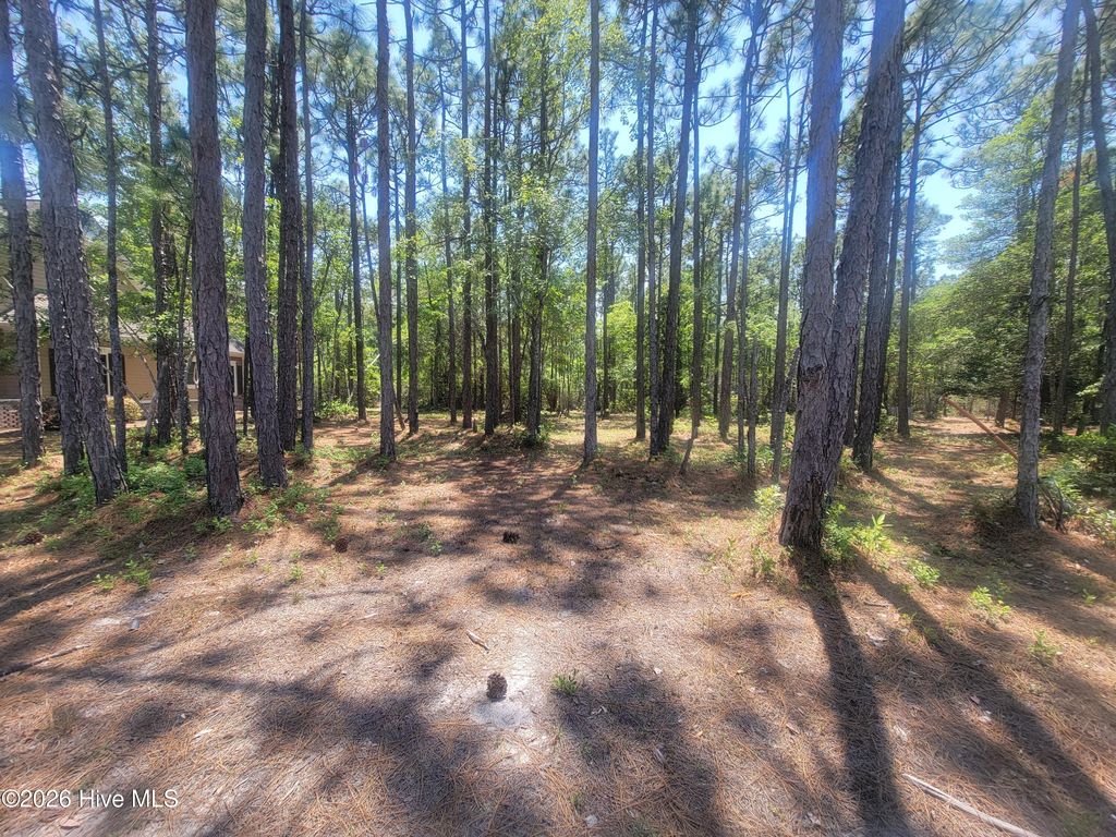Photo of 6876 Beckman Circle SW, Ocean Isle Beach, NC 28469 (MLS # 100574606)