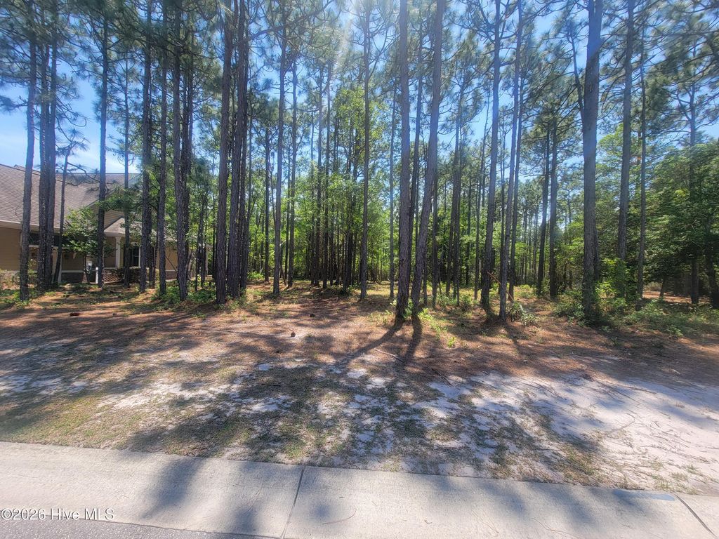 Photo of 6876 Beckman Circle SW, Ocean Isle Beach, NC 28469 (MLS # 100574606)