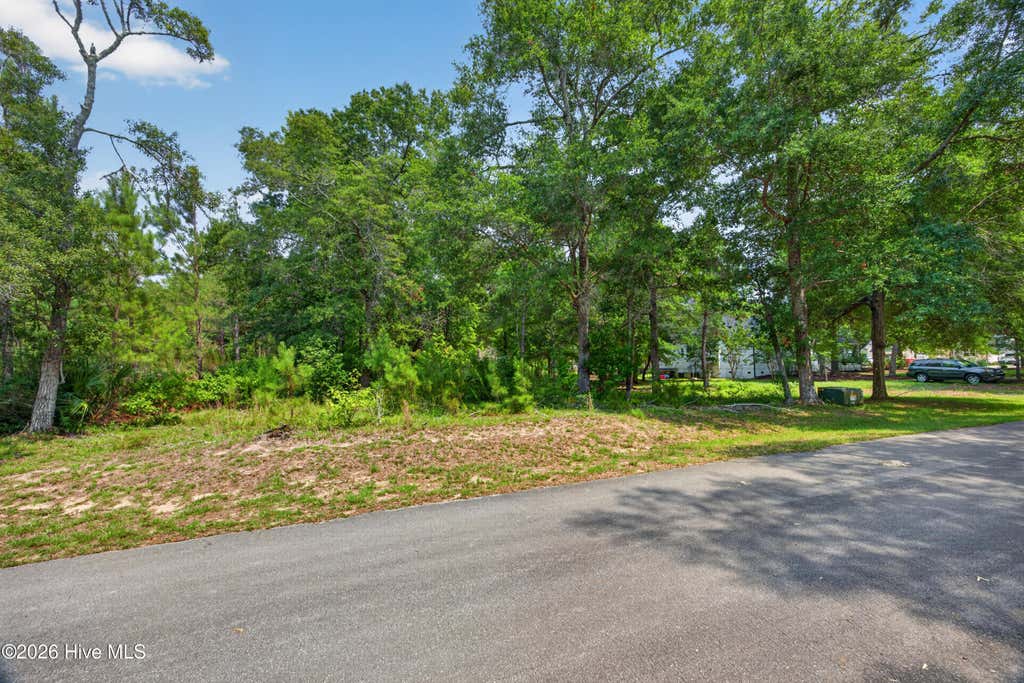 Photo of 3300 Regal Isle SW, Supply, NC 28462 (MLS # 100593679)