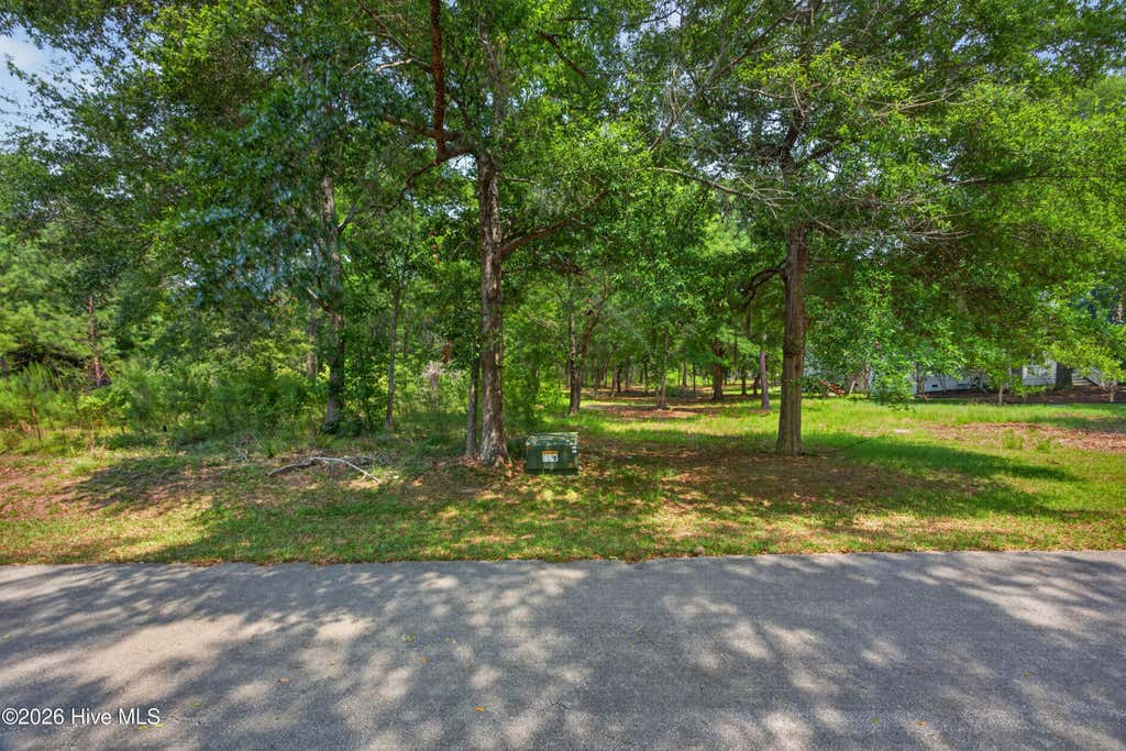 Photo of 3300 Regal Isle SW, Supply, NC 28462 (MLS # 100593679)